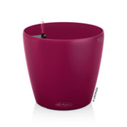 CLASSICO Color 35 - Vermelho - LECHUZA
